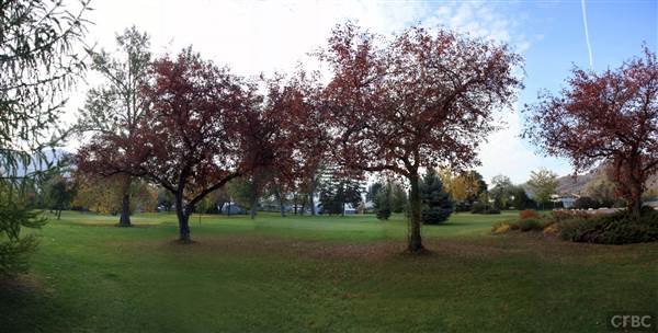 Westsyde Centennial Park and Little Farmer's Petting Zoo & Exotic Birds