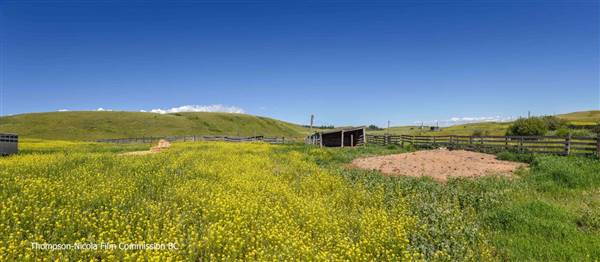 Highway 5A Kamloops-Merritt 098 - Knutsford Grasslands