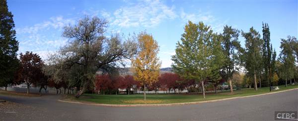Westsyde Centennial Park and Little Farmer's Petting Zoo & Exotic Birds