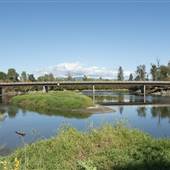 ENDERBY BRIDGE ( Cliff Ave )