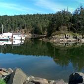 Bird's Eye Cove Marina