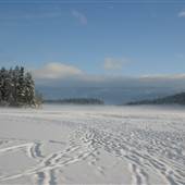 Gardom Lake Winter 2013