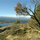 Nanoose Hill