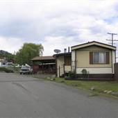 Country Trailer Park with Paved Roads