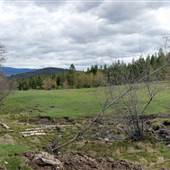 Chudley Property Rangelands & Forest near Train Tracks