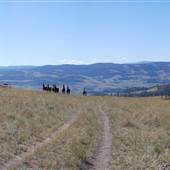 *Upper Nicola Indian Band Middle Field