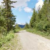Mud Lake Forest Service Road, Clearing & Bridge over Stream - high elevation