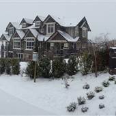 Brookside Inn Boutique