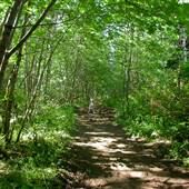 Stories Creek Trail