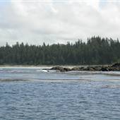 Cape Scott Provincial Park