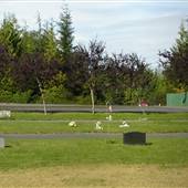 Port McNeill Cemetery