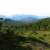 Newcastle Ridge in Sayward