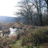 Buttertubs Marsh