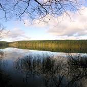 Merrill Lake Campground