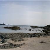 Shell Beach