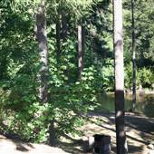 Englishman River Motel