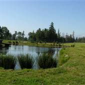 Teranova Farmstead (Teranova Gazebo and Pond)
