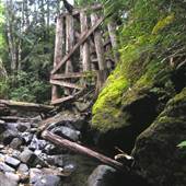 Elsie Lake (Old Train Trestles)
