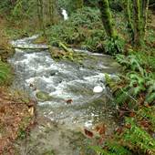 Nanoose Stream