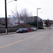 Kamloops 109 Downtown - Foliage example - March