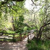 Peterson Creek Nature Park - Entrance to Paths, Creek, Waterfalls & Benches