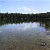 Horseshoe Lake & Forestry Campsite & Opposite Side Clearing