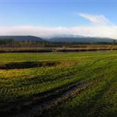 Daldas Farm