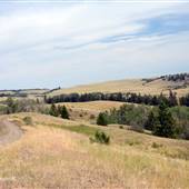 *Kullagh Road Grasslands - Long Lake Rd North 05 North Valleys to Drew Place