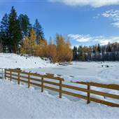 FRAZER LK POND ( winter )