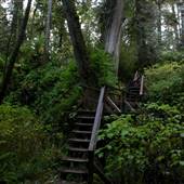Schooner Cove Trail