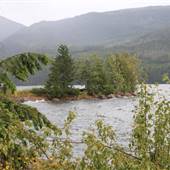 Adams Lake Rocky Point Rec Site 62.5 km