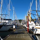 Westport Marina