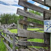 Martin Ranch Field and Cabin