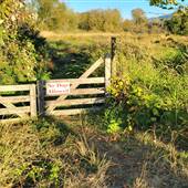 Qualicum National Wildlife Area - Nanoose Bay Unit (Estuary - Meadows)