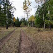 Devick's Ranch - Fields to Viewpoint
