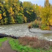 Englishman River