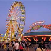 Luxton Fairgrounds