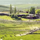 Sundance Guest Ranch w/ Saloon, Outdoor Pool & Other Amenities