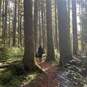 Beaver Lake Trail