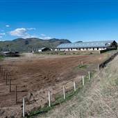 Shamrock Wellness Ranch