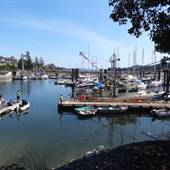 Salt Spring Island Market