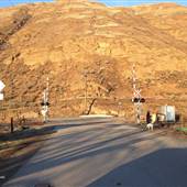 McLean Street CN Train Crossing