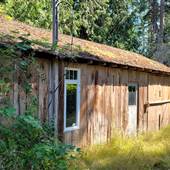 Old Pigshed Cabin