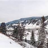 Sheep Creek Bridge