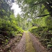 Ronning's Garden