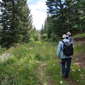 Squarrey Pond (Lake) and Trail