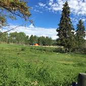 Abel Lake Ranch & Cabins