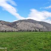 Spences Bridge Shawniken Road Alfalfa Crop Fields along Thompson River