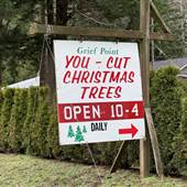 Grief Point You-Cut Christmas Trees