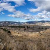 Merritt Viewpoints